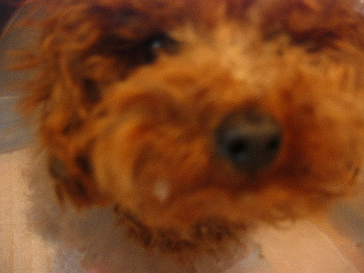 c0110906_14344549.jpg