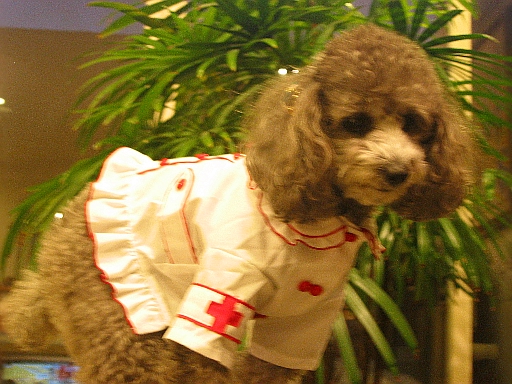 c0110906_1591088.jpg