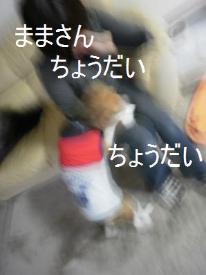 c0205806_19442036.jpg