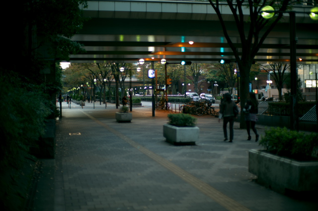 d0143011_13295611.jpg