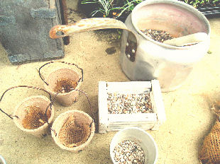 c0194712_23151131.jpg