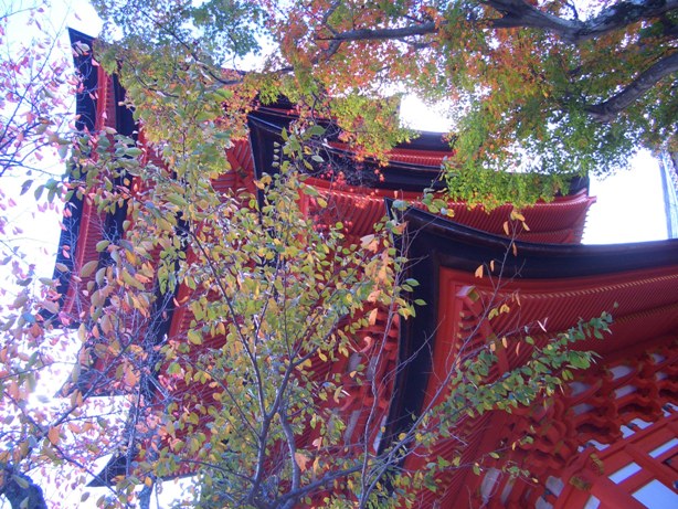 e0033713_19113160.jpg