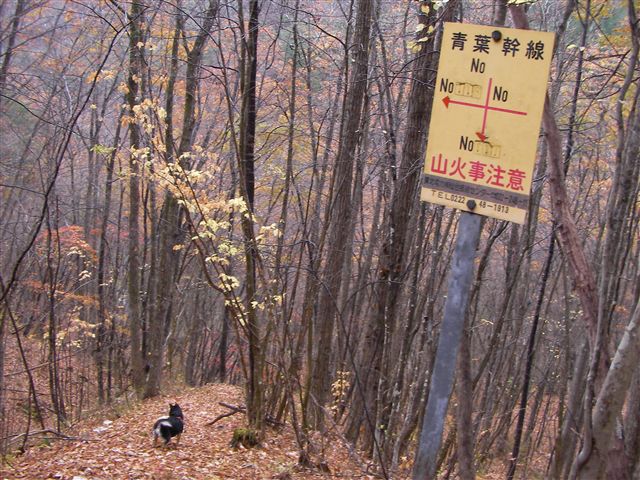 a0127015_103654100.jpg