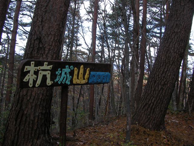 a0127015_1043372.jpg