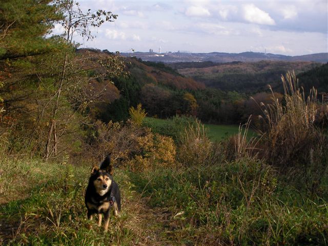 a0127015_10511966.jpg