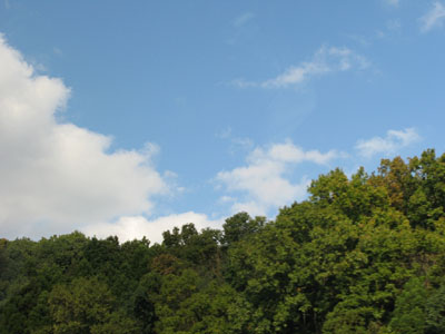 a0108319_1712335.jpg