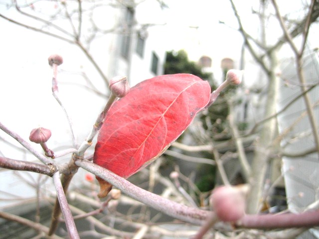 f0031722_110176.jpg