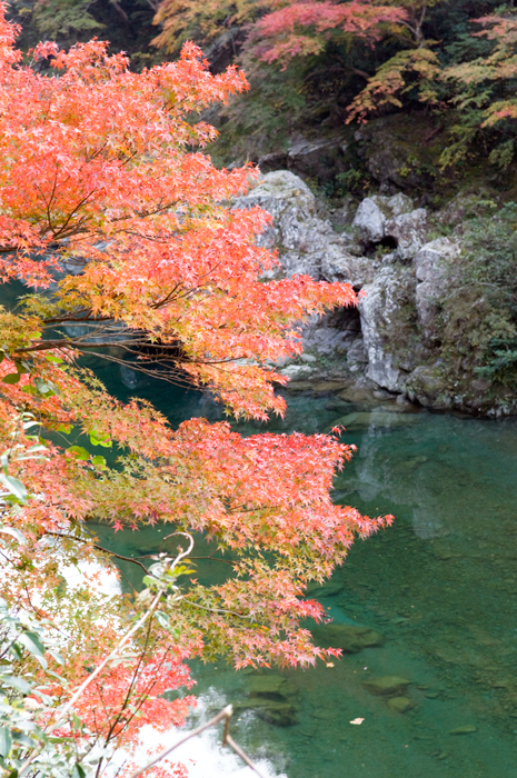 c0153223_8122156.jpg