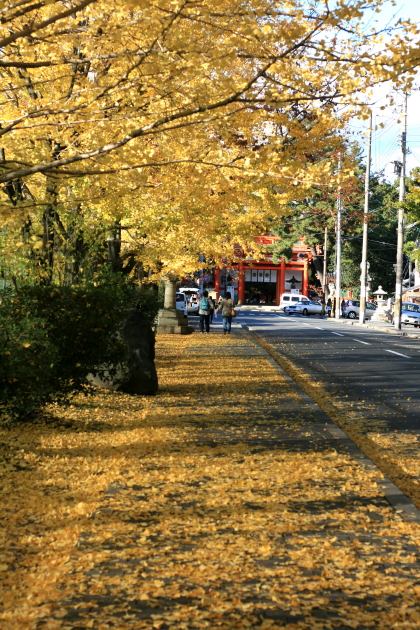 b0132924_1617926.jpg