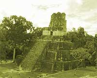 f0054227_1511254.jpg