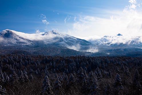 e0025030_16202915.jpg