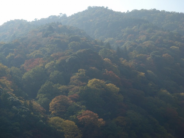 a0046339_22393442.jpg