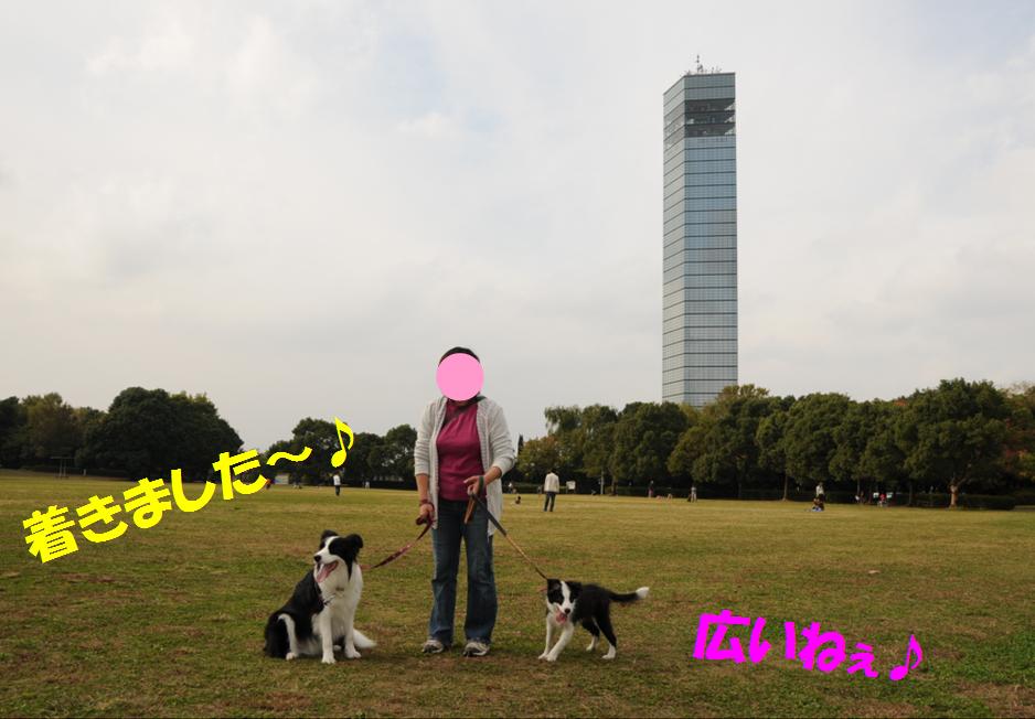 c0147241_22174047.jpg