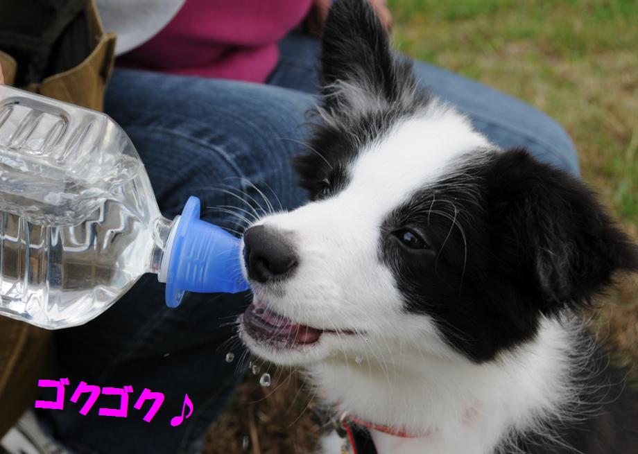 c0147241_22181725.jpg