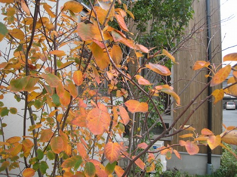 e0051142_23304452.jpg