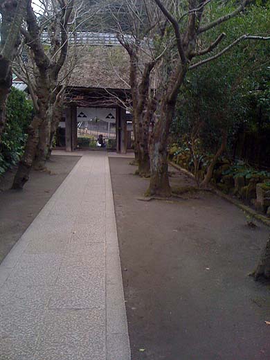 e0050753_15464840.jpg