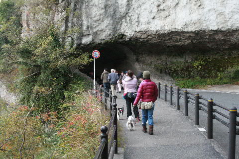 b0137459_22253168.jpg