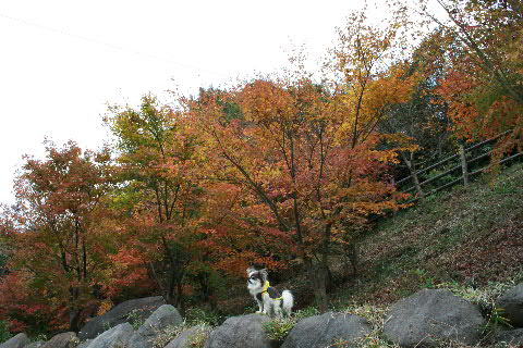 b0137459_22434773.jpg