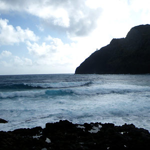 b0093369_82374.jpg