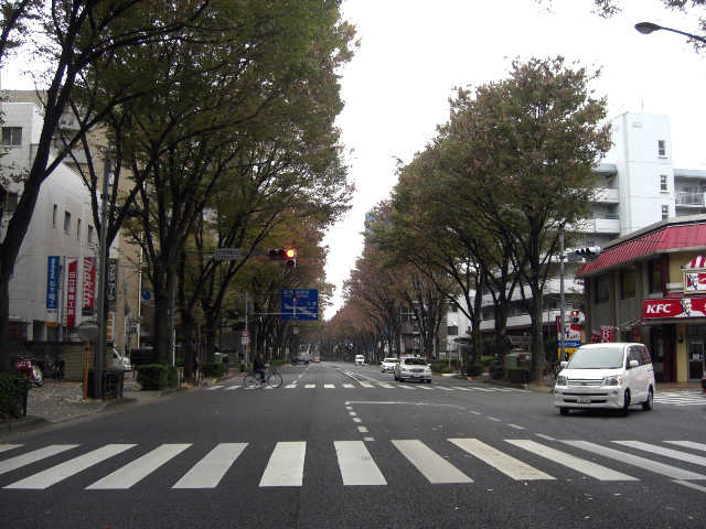 b0060071_2246394.jpg
