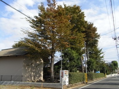 c0112172_0372126.jpg
