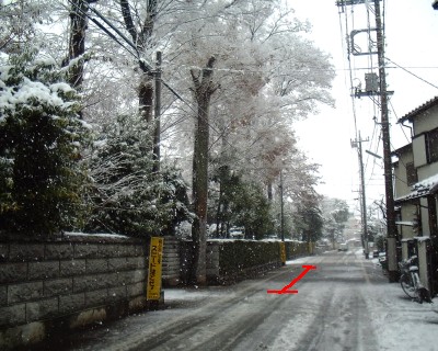 c0112172_038579.jpg