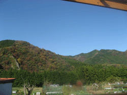 f0082772_8105842.gif
