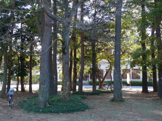 a0113874_7582979.jpg