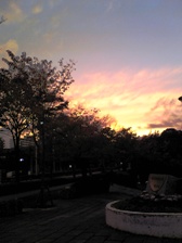 c0102375_2204058.jpg