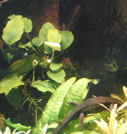 b0068687_22551669.jpg