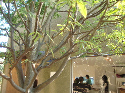 e0150087_15531660.jpg