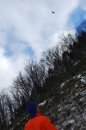 f0159390_1453110.jpg