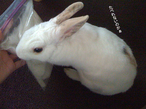 f0201191_15575975.jpg