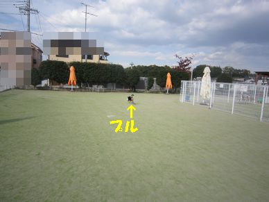 a0137294_9363120.jpg