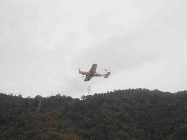 c0131695_20451134.jpg
