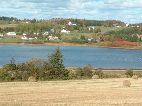 d0150395_17455591.jpg