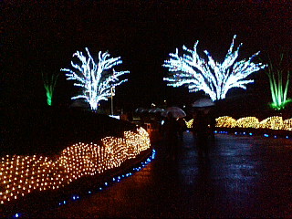 f0010195_20324610.jpg