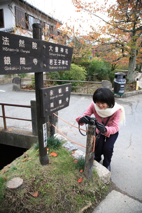 f0103797_11504654.jpg