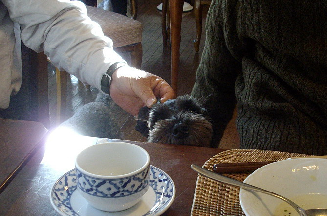 c0138198_10155462.jpg