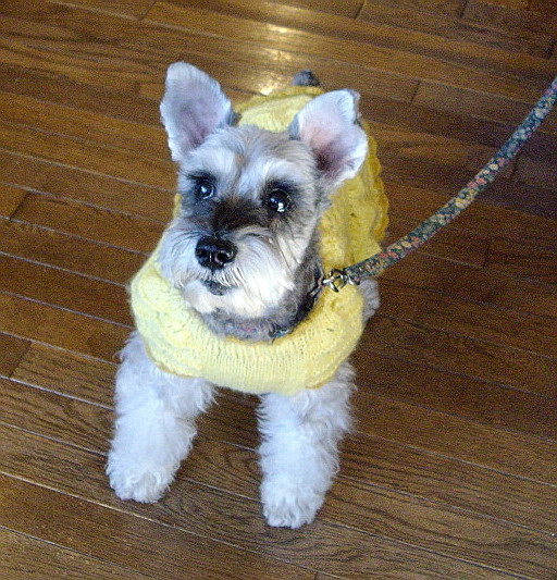 c0138198_10233841.jpg