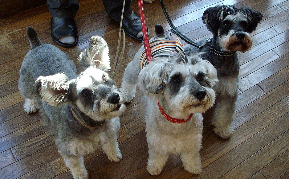 c0138198_10253375.jpg