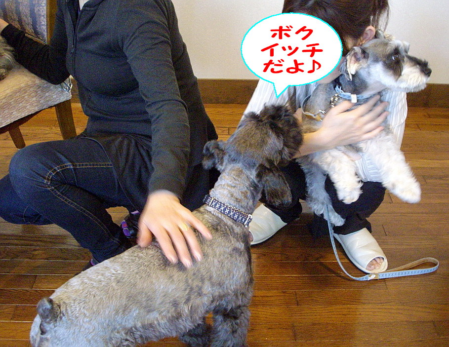 c0138198_1028141.jpg