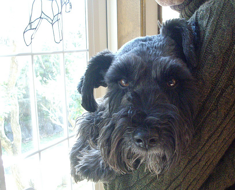 c0138198_10311960.jpg