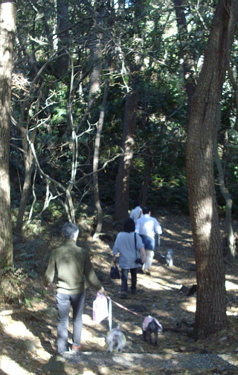 c0138198_11125153.jpg