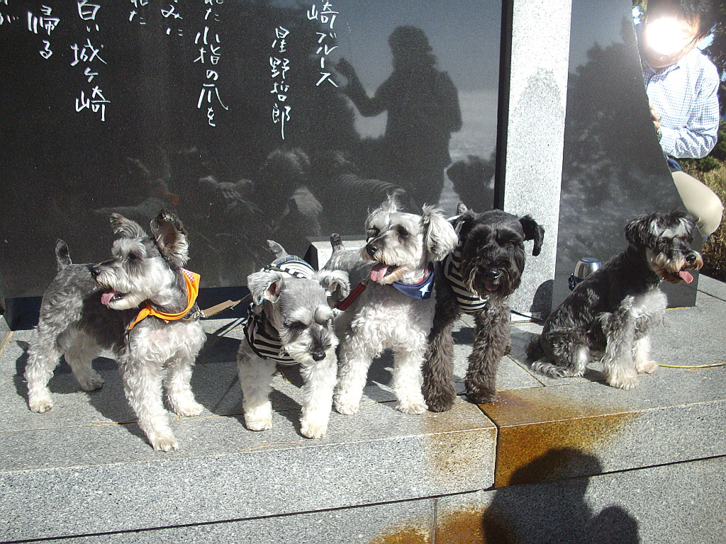 c0138198_11283066.jpg