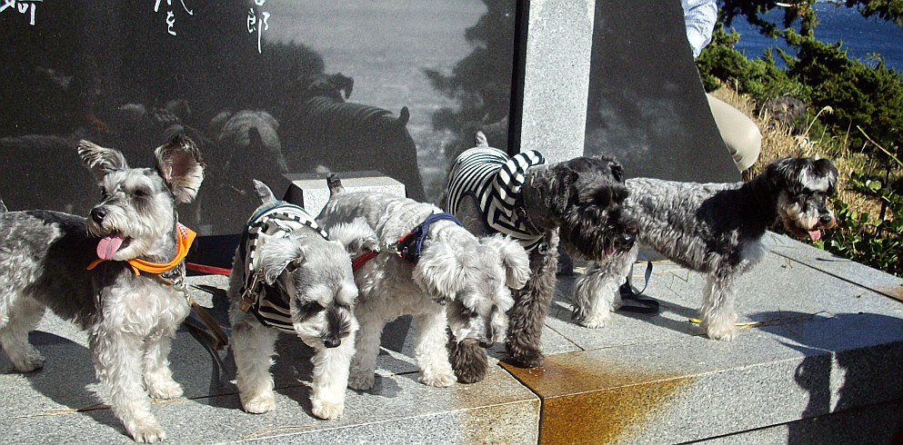 c0138198_11305422.jpg