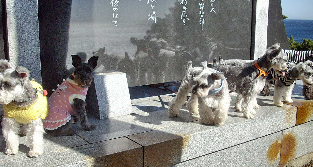 c0138198_11322451.jpg