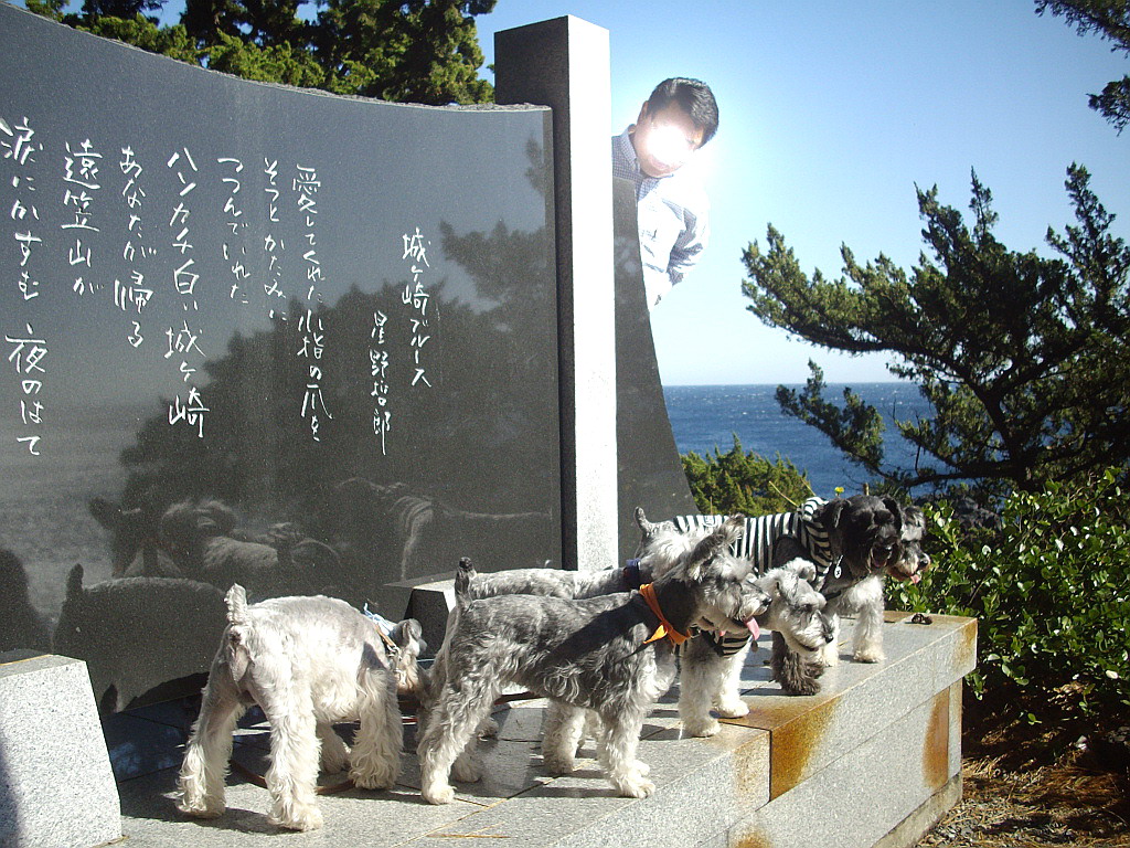 c0138198_1135537.jpg