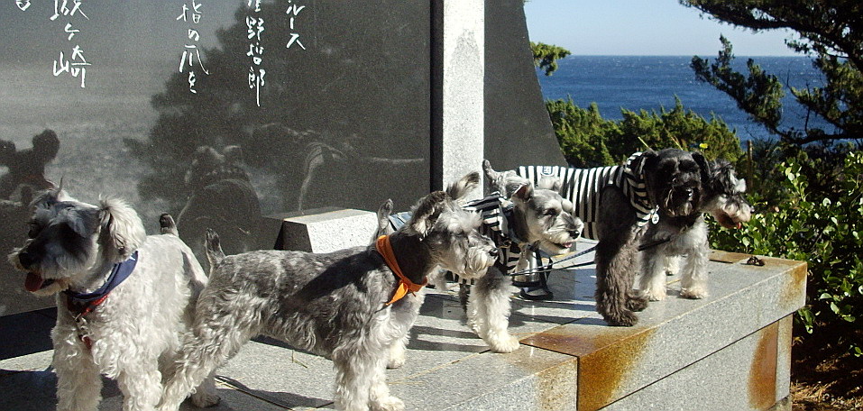 c0138198_11381428.jpg
