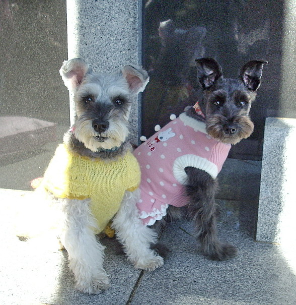 c0138198_11441555.jpg